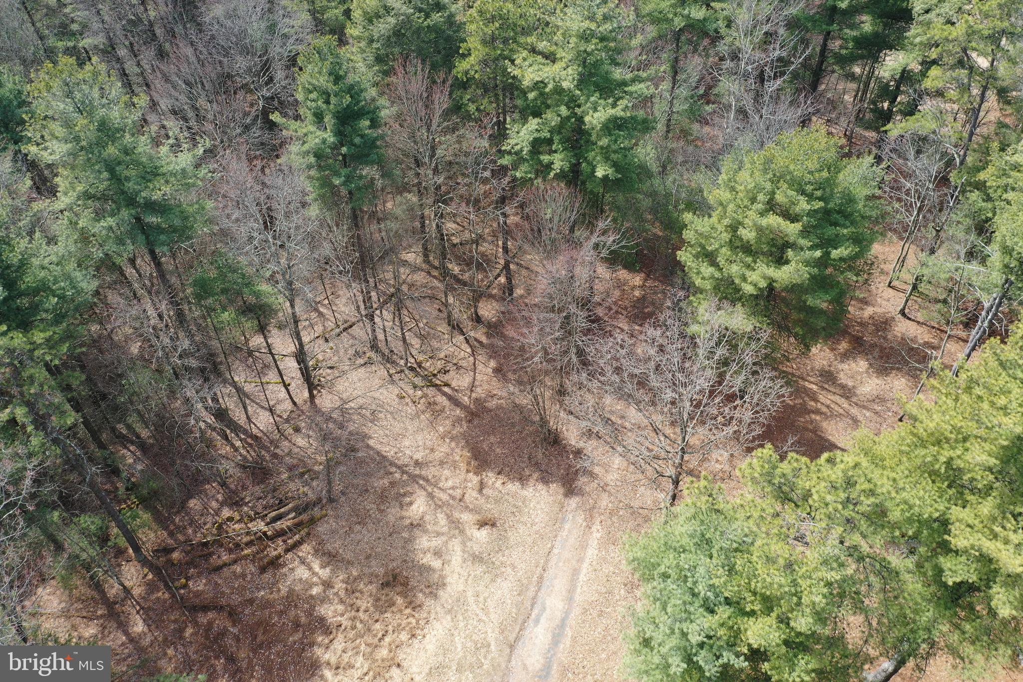 385 Elk Creek Road Aaronsburg, PA 16820 - Photo 73 of 89 a view of a yard with plants and trees