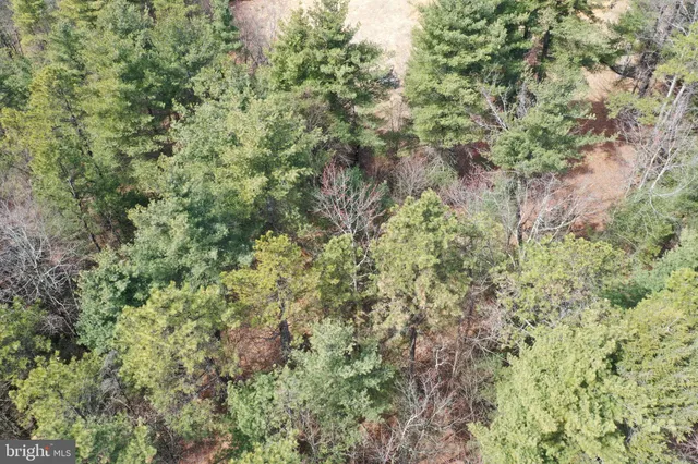 $749,000 | 385 Elk Creek Road, Aaronsburg, PA 16820