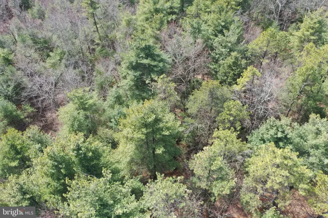 $749,000 | 385 Elk Creek Road, Aaronsburg, PA 16820