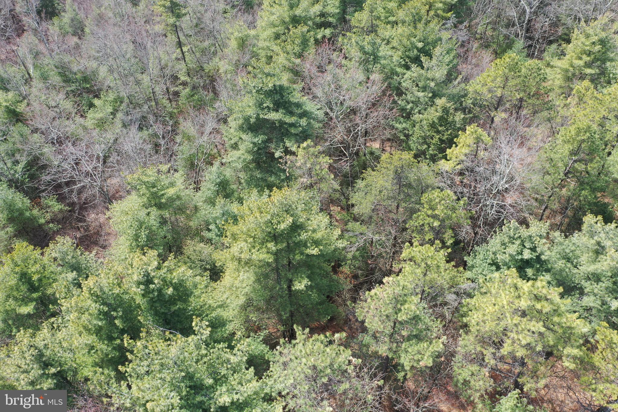 385 Elk Creek Road Aaronsburg, PA 16820 - Photo 76 of 89 an aerial view of residential house with space and trees all around