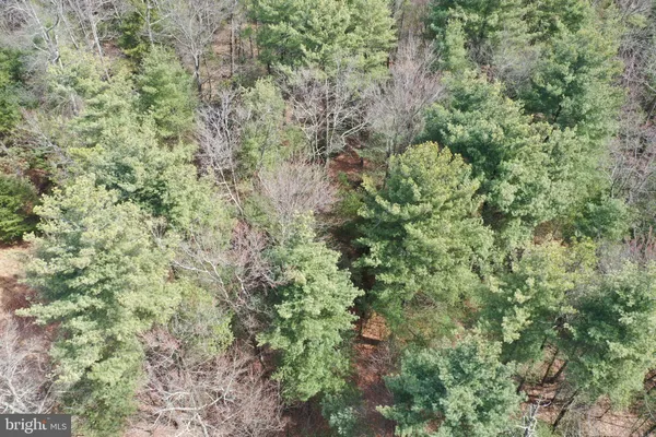 $719,000 | 385 Elk Creek Road, Aaronsburg, PA 16820