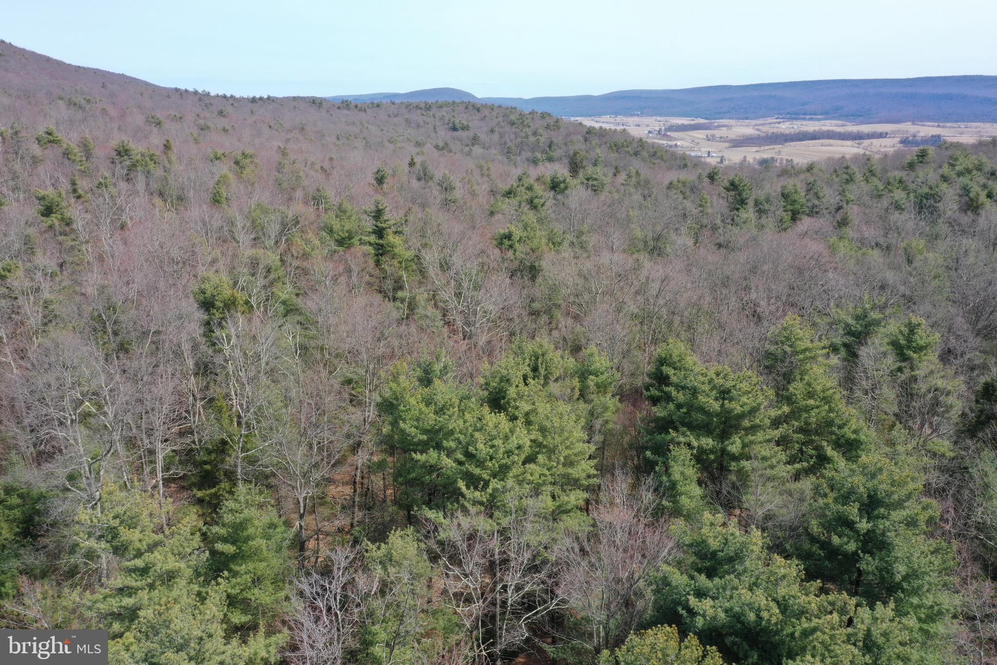 385 Elk Creek Road Aaronsburg, PA 16820 - Photo 79 of 89 a view of a mountain range with trees in the background