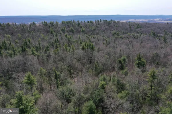 $719,000 | 385 Elk Creek Road, Aaronsburg, PA 16820