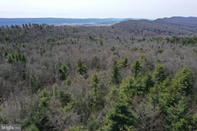 $749,000 | 385 Elk Creek Road, Aaronsburg, PA 16820