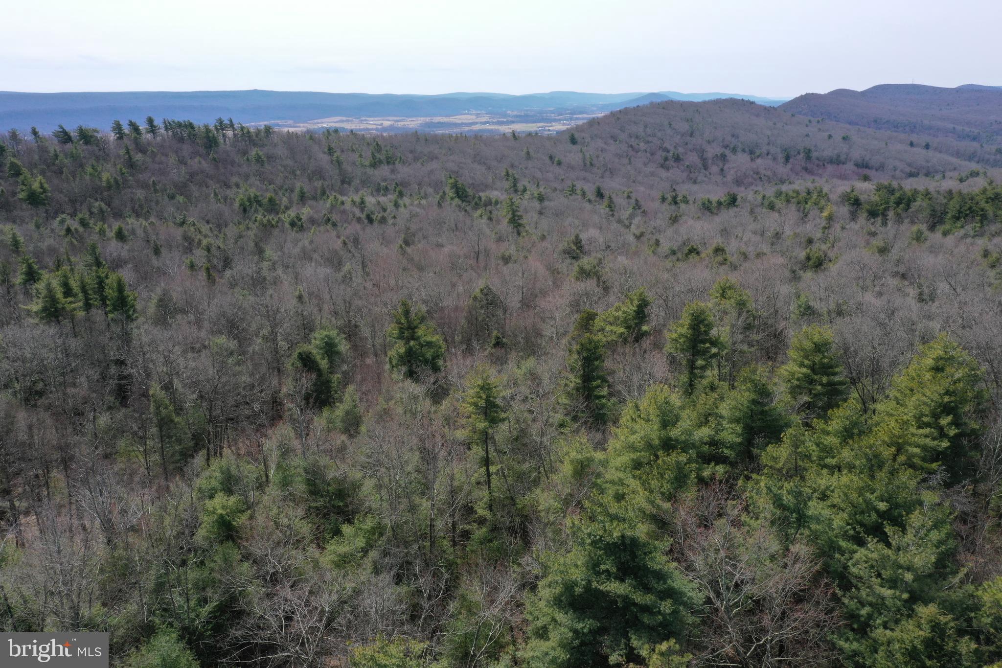 385 Elk Creek Road Aaronsburg, PA 16820 - Photo 82 of 89