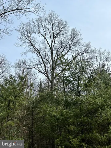 $749,000 | 385 Elk Creek Road, Aaronsburg, PA 16820