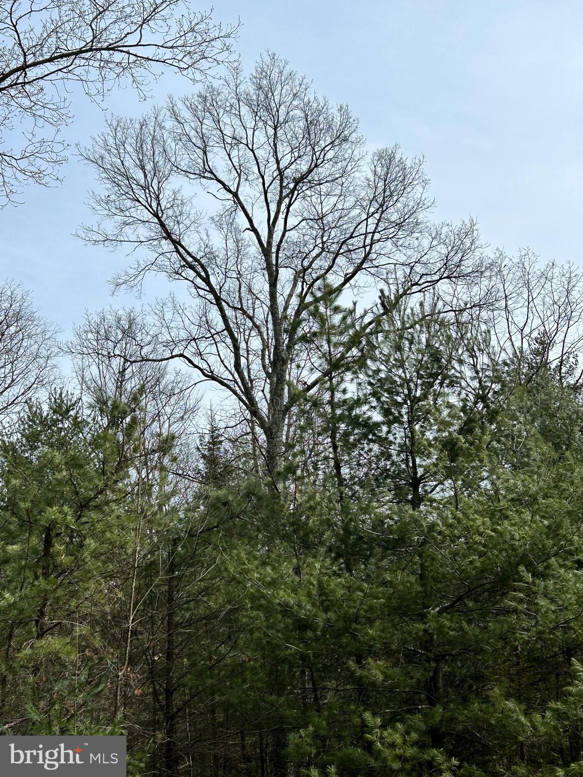 385 Elk Creek Road Aaronsburg, PA 16820 - Photo 87 of 89