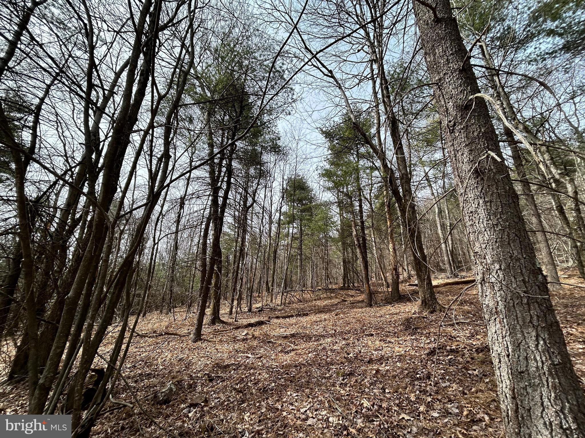 385 Elk Creek Road Aaronsburg, PA 16820 - Photo 88 of 89