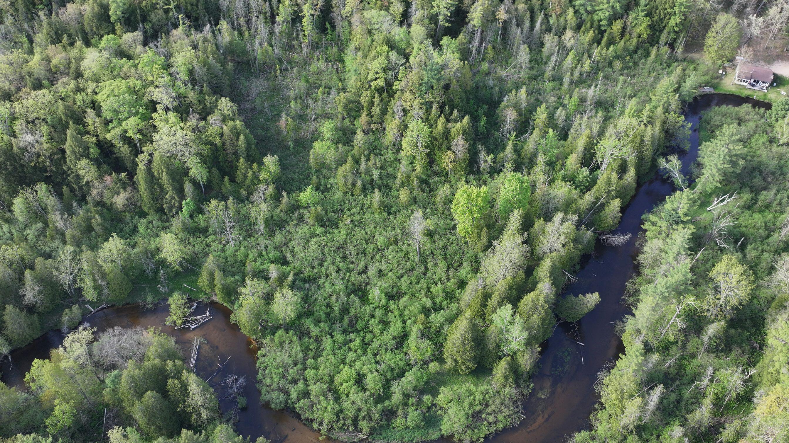 V/l West Pomeroy Springs Road Irons, MI 49644 - Photo 3 of 27 DJI_20260521175936_0333_D