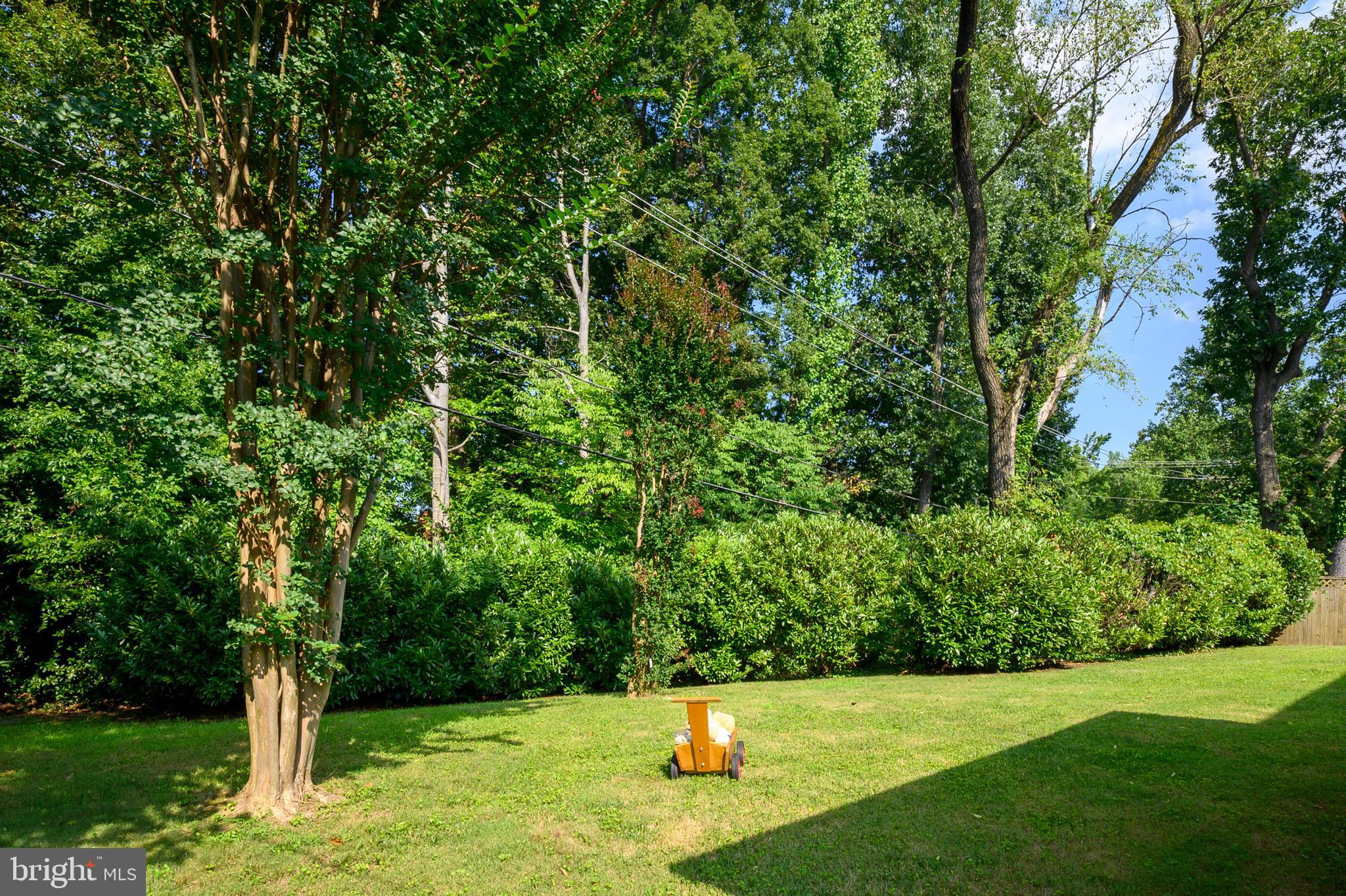 12128 Long Ridge Lane Bowie, MD 20715 - Photo 37 of 39 a view of a trees with a yard