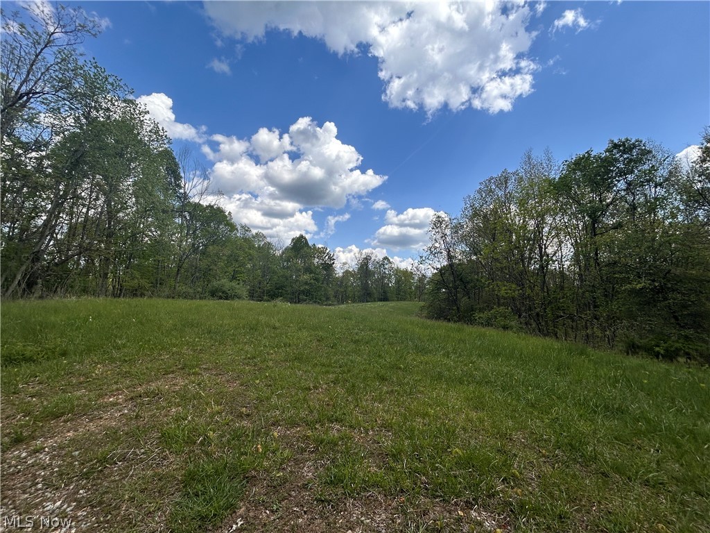 123 Foxtrot Road Looneyville, WV 25259 - Photo 42 of 50