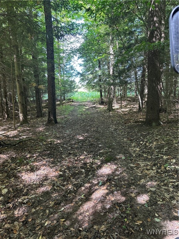 5814 School Road Gainesville, NY 14427 - Photo 19 of 40 The western trail heading to the 25 acre field wit