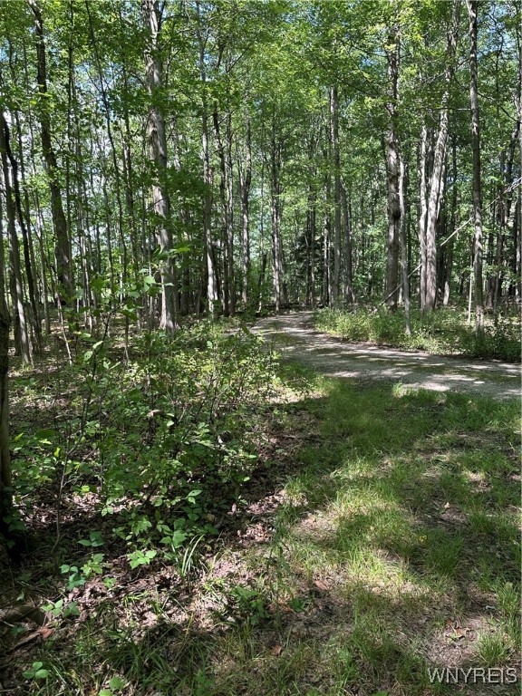 5814 School Road Gainesville, NY 14427 - Photo 20 of 40 Roadway through the wooded land