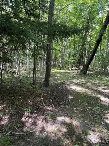 $293,195 | 5814 School Road, Gainesville, NY 14427