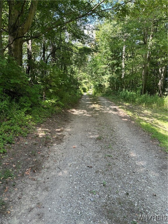 5814 School Road Gainesville, NY 14427 - Photo 22 of 40 The gravel road leading to the cabin.