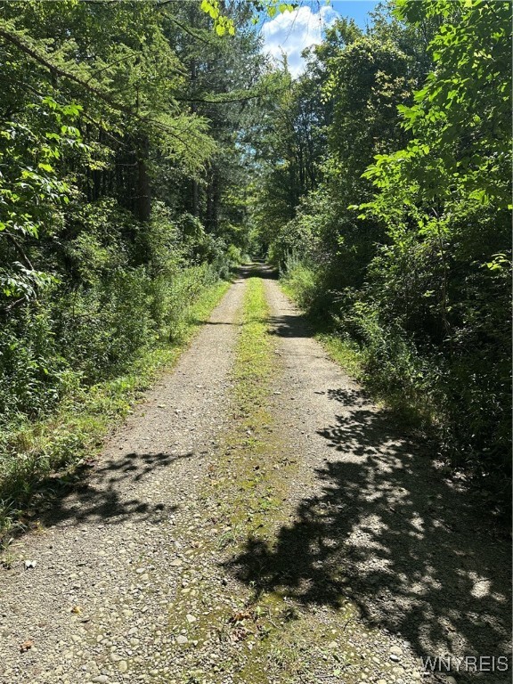 5814 School Road Gainesville, NY 14427 - Photo 24 of 40 The main grave road leading from School Road to th