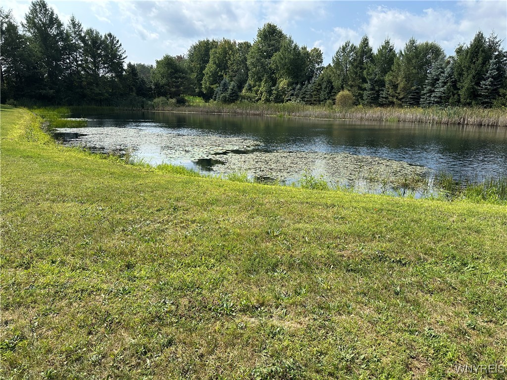 5814 School Road Gainesville, NY 14427 - Photo 36 of 40 The man made pond view looking South West