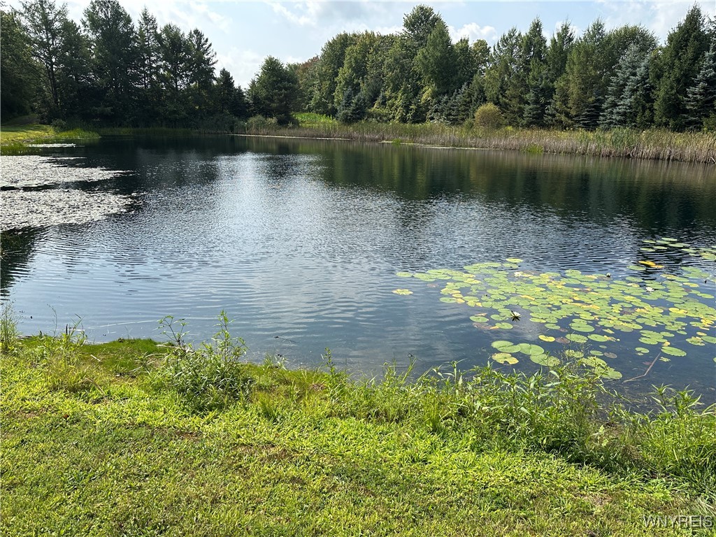 5814 School Road Gainesville, NY 14427 - Photo 37 of 40 View of man made pond looking south