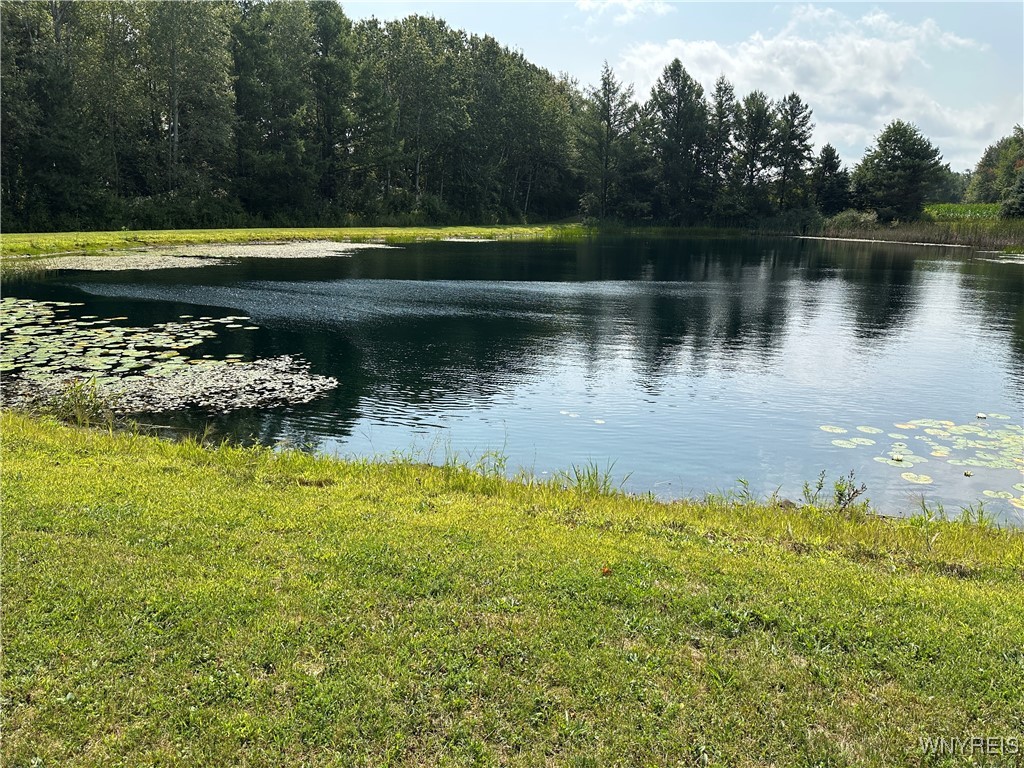 5814 School Road Gainesville, NY 14427 - Photo 38 of 40 View of man made pond looking south east