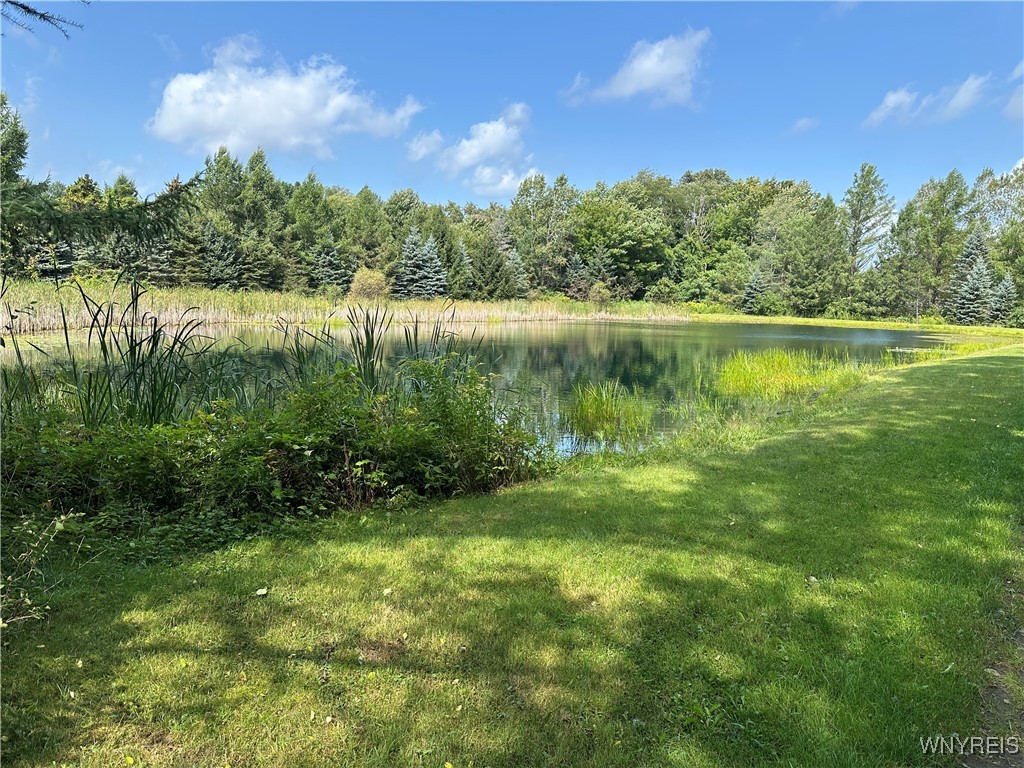 5814 School Road Gainesville, NY 14427 - Photo 39 of 40 View of man made pond looking north