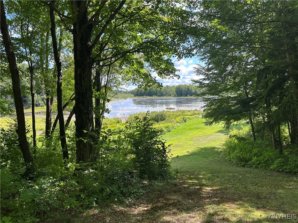 5814 School Road Gainesville, NY 14427 - Photo 4 of 40 View of Man Made Pond Looking Through Trees