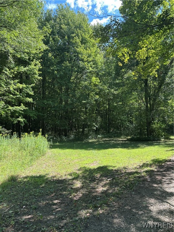 5814 School Road Gainesville, NY 14427 - Photo 6 of 40 View behind cabin