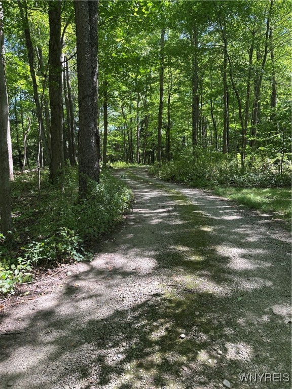 5814 School Road Gainesville, NY 14427 - Photo 8 of 40 View of winding gravel road leading to the cabin