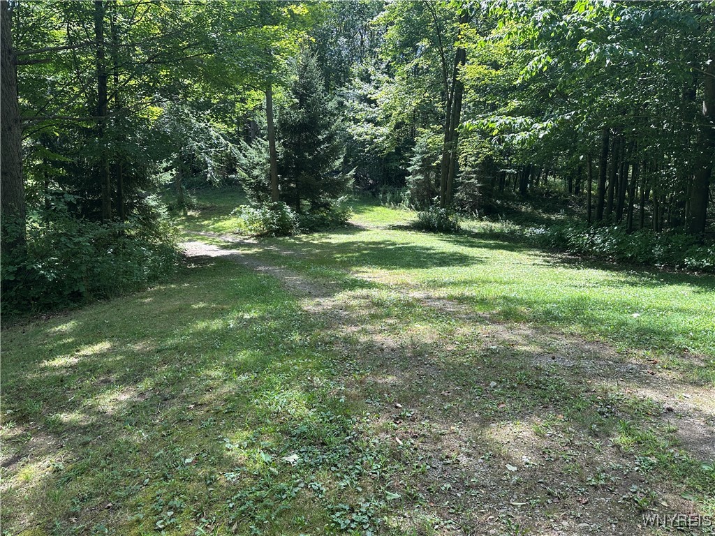5814 School Road Gainesville, NY 14427 - Photo 9 of 40 View of mowed property near cabin