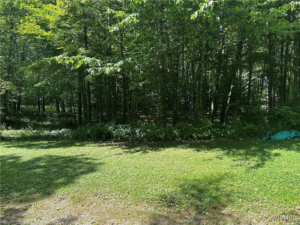 5814 School Road Gainesville, NY 14427 - Photo 10 of 40 View of property south of the cabin