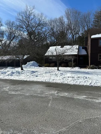 a view of a yard covered in snow