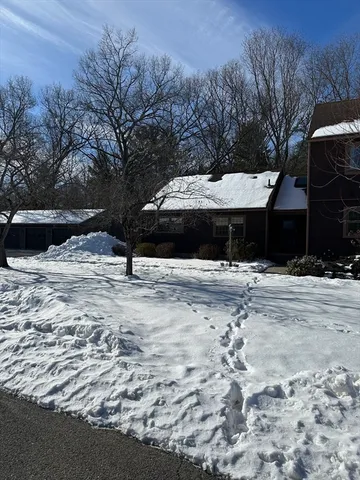 a view of a yard with a large tree