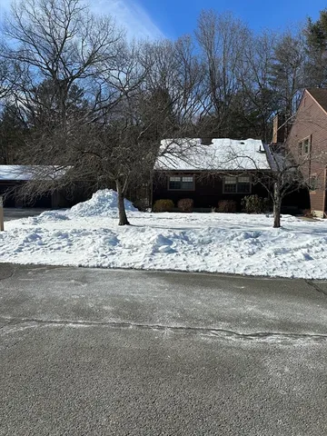 a view of a yard with a large tree