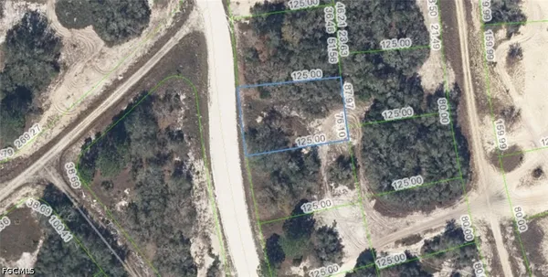 $8,500 | 333 Wildwood Drive, Lake Placid, FL 33852