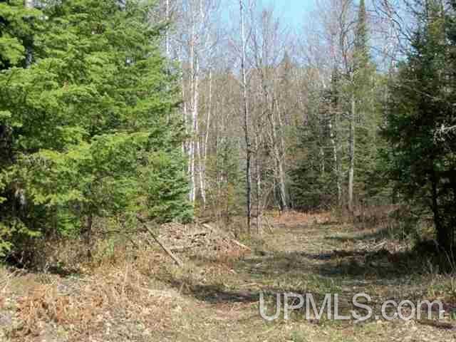 Tbd Tbd Unnamed Woods (west) Road Felch, MI 49831 - Photo 3 of 3