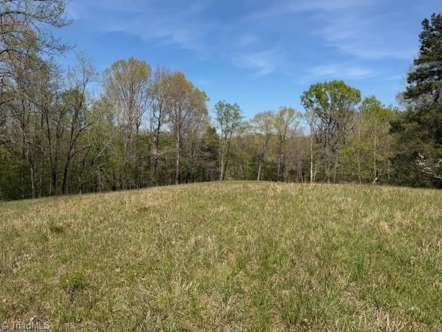 0 Seven Island Road Danbury, NC 27016 - Photo 12 of 14