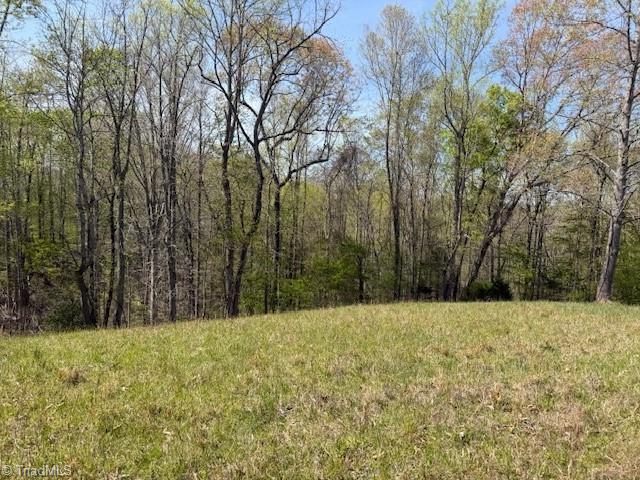 0 Seven Island Road Danbury, NC 27016 - Photo 13 of 14