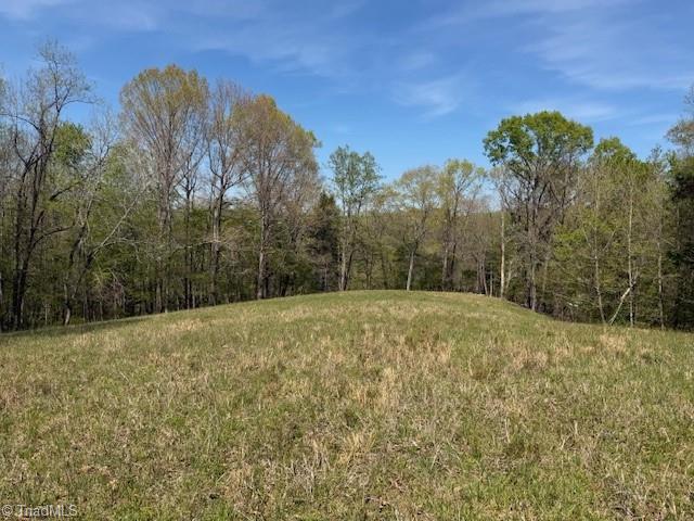 0 Seven Island Road Danbury, NC 27016 - Photo 14 of 14