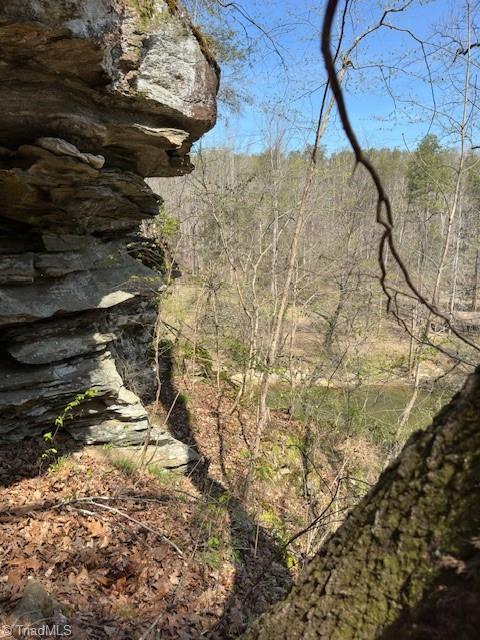 0 Seven Island Road Danbury, NC 27016 - Photo 5 of 14 2/3 way up the cliff overlooking the Dan