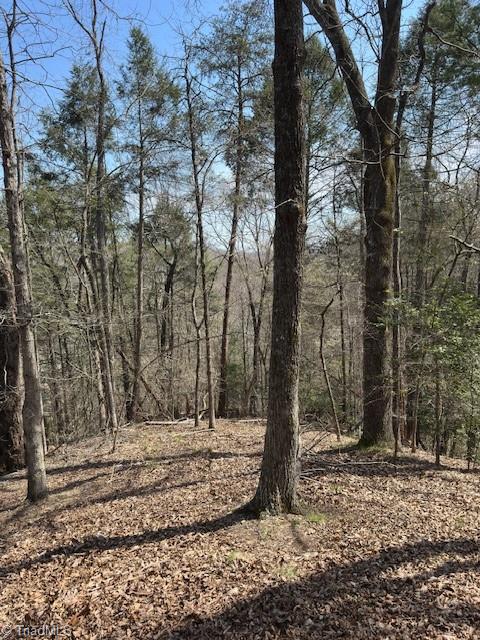 0 Seven Island Road Danbury, NC 27016 - Photo 6 of 14 Top of the ridge