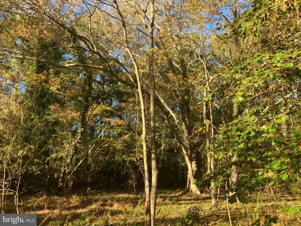 $22,000 | 81 Davis Road, Marion Station, MD 21838