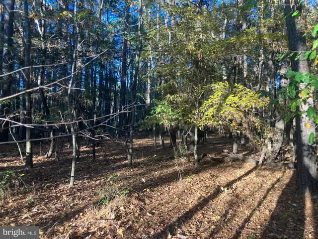 a backyard of a house with lots of green space and a fountain