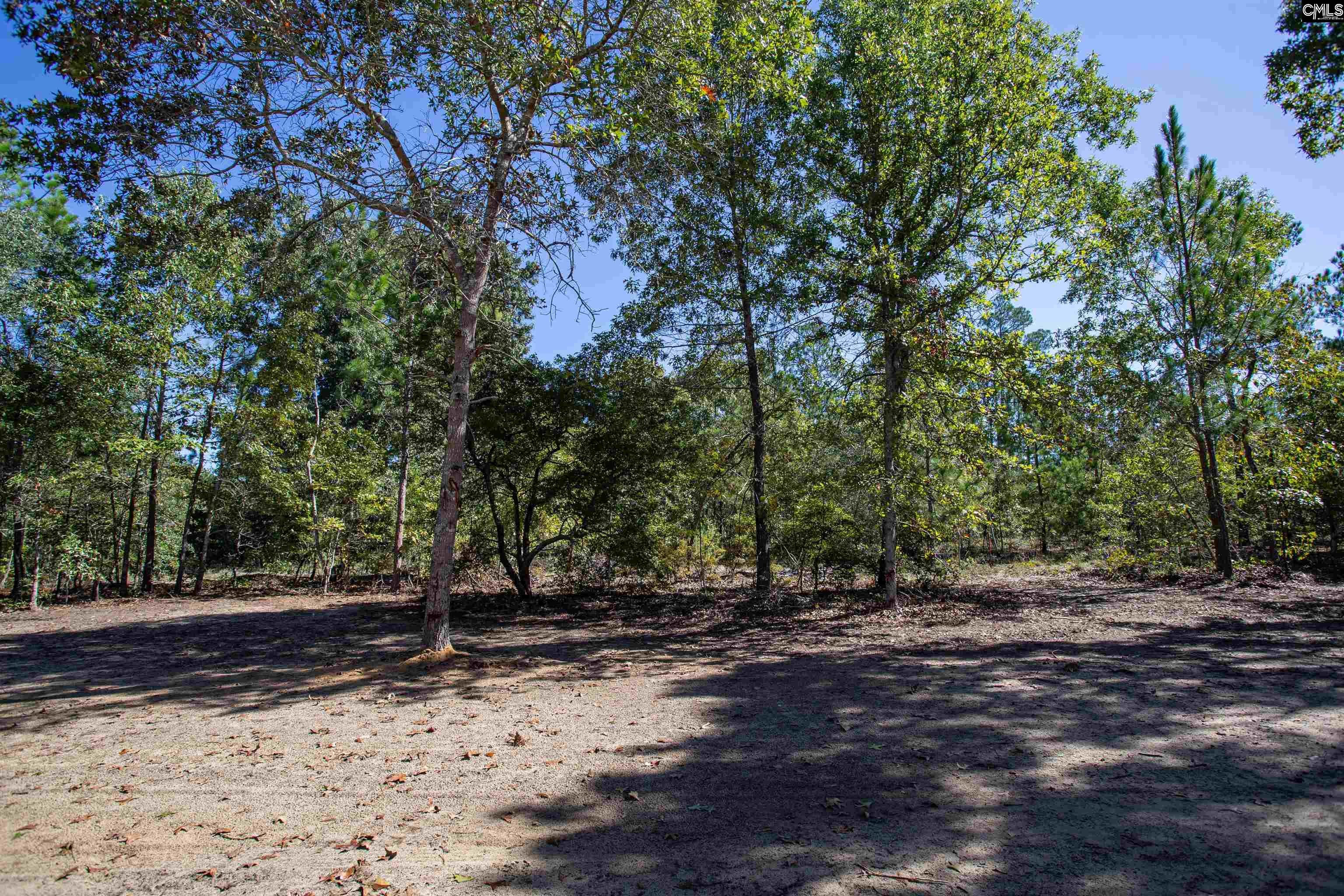 1404 Mt Zion Road Cassatt, SC 29032 - Photo 28 of 28 Gallery Image 28