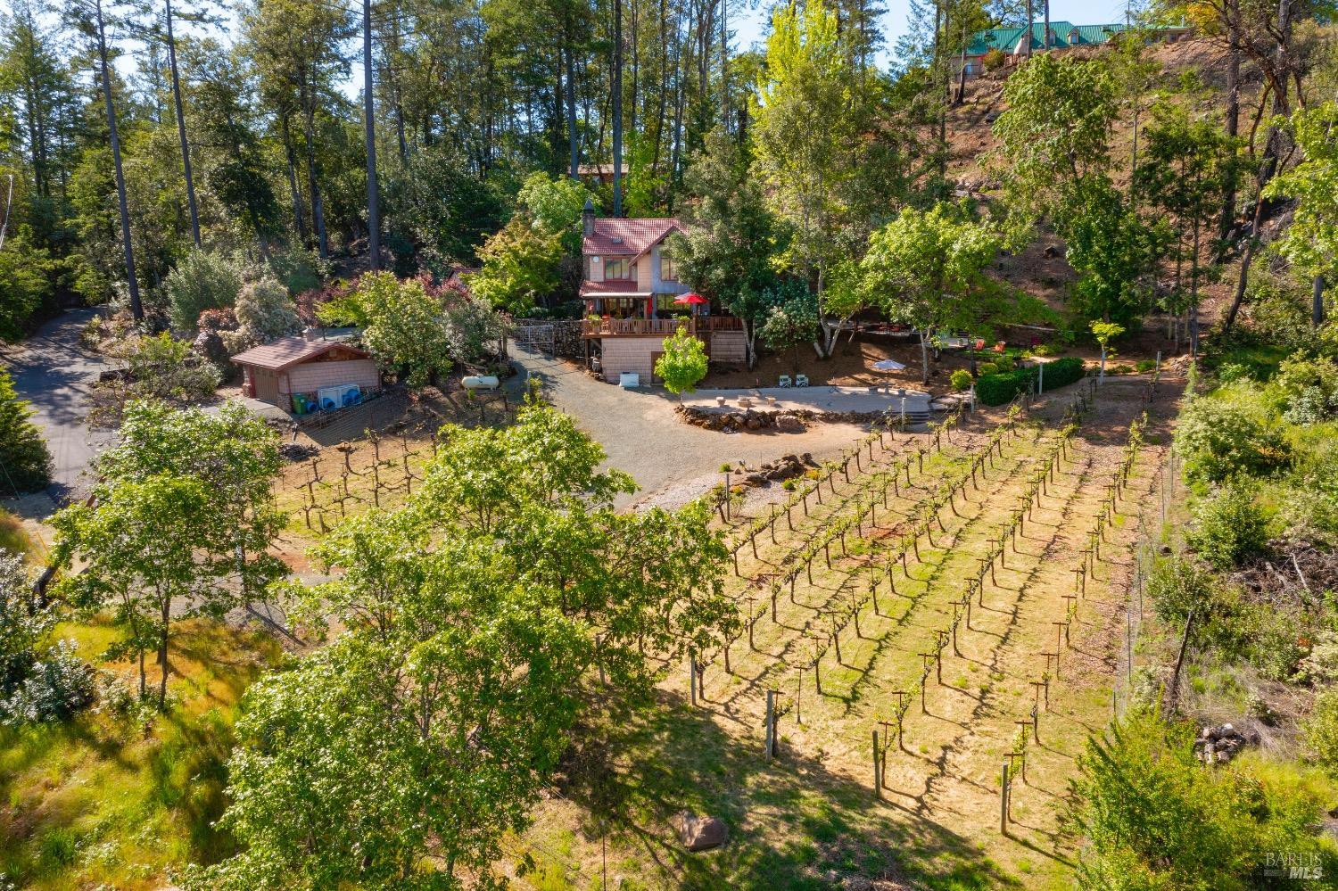 4034 Spring Mountain Road St. Helena, CA 94574 - Photo 36 of 36 a backyard of a house with table and chairs
