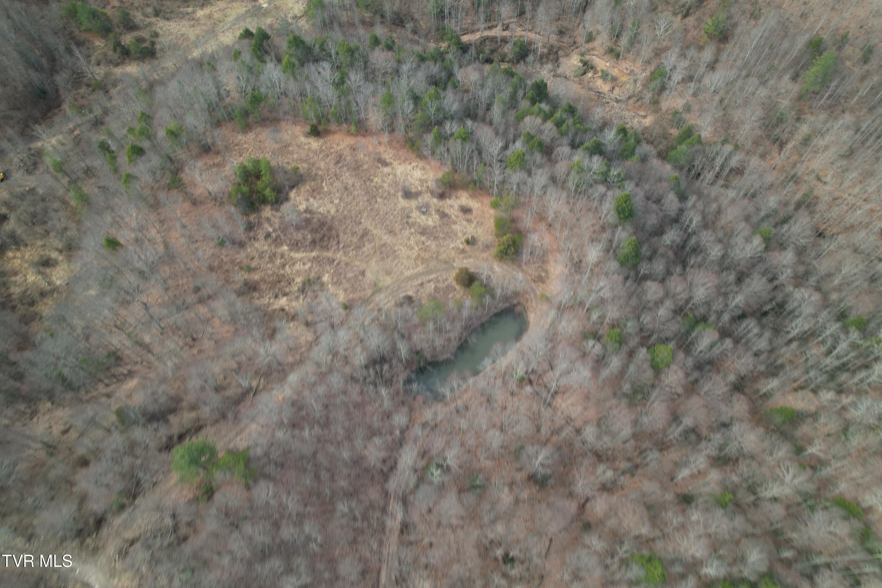 Tbd Retriever Lane Haysi, VA 24256 - Photo 11 of 41 DJI_0129