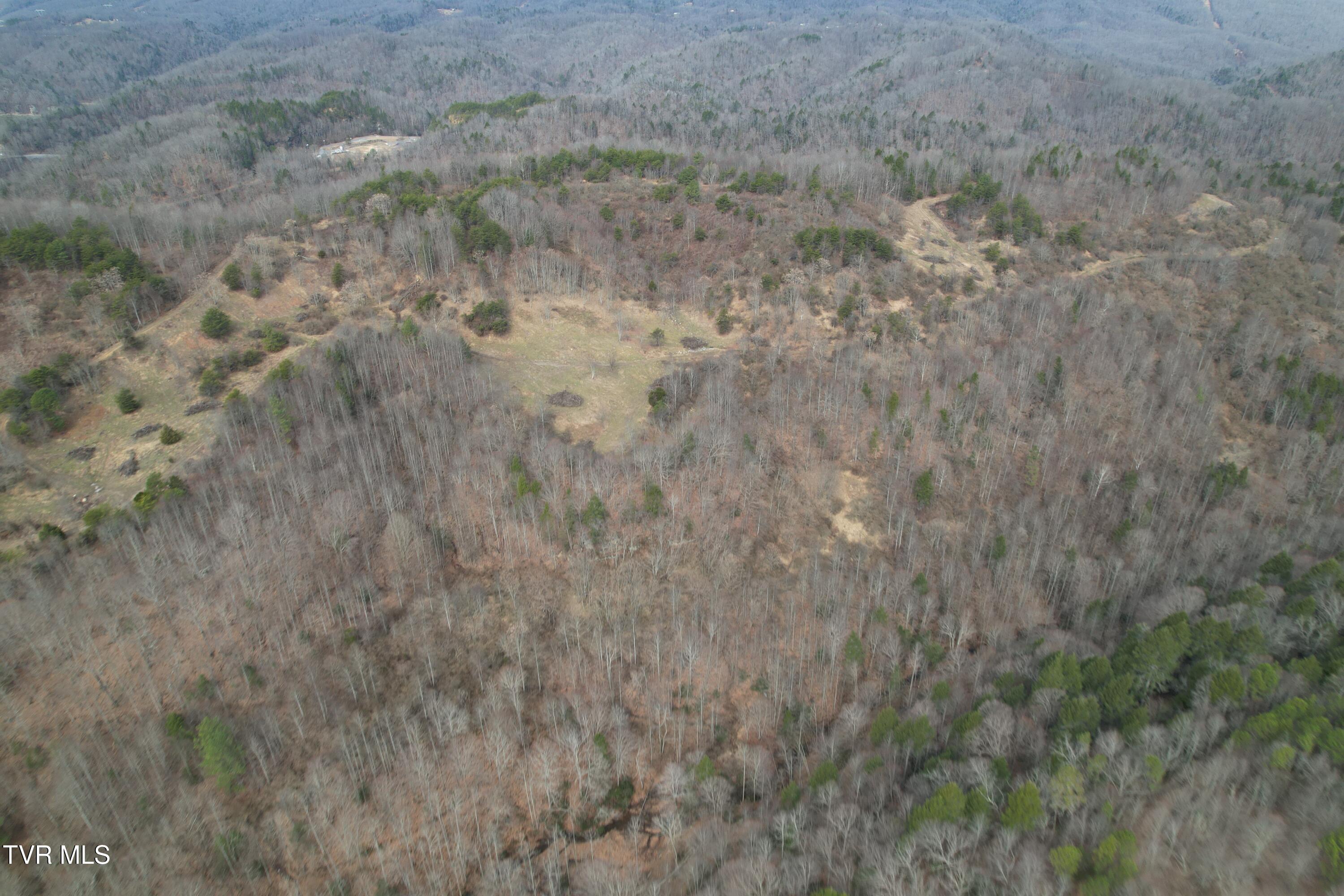 Tbd Retriever Lane Haysi, VA 24256 - Photo 12 of 41 DJI_0130