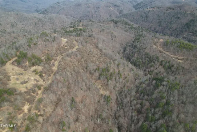 $1,800,000 | Tbd Retriever Lane, Haysi, VA 24256