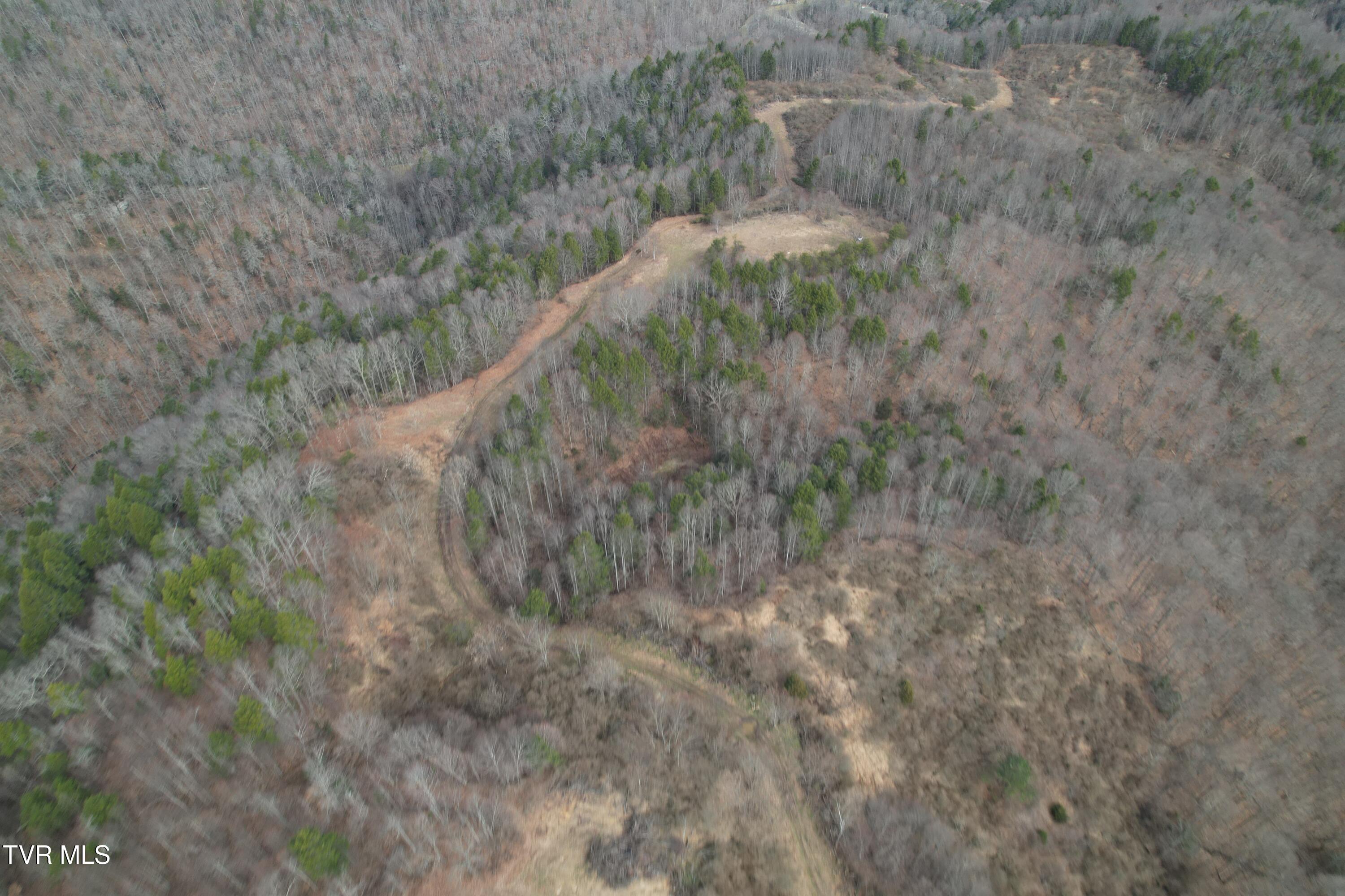 Tbd Retriever Lane Haysi, VA 24256 - Photo 16 of 41 DJI_0134