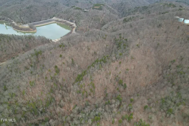 $1,800,000 | Tbd Retriever Lane, Haysi, VA 24256