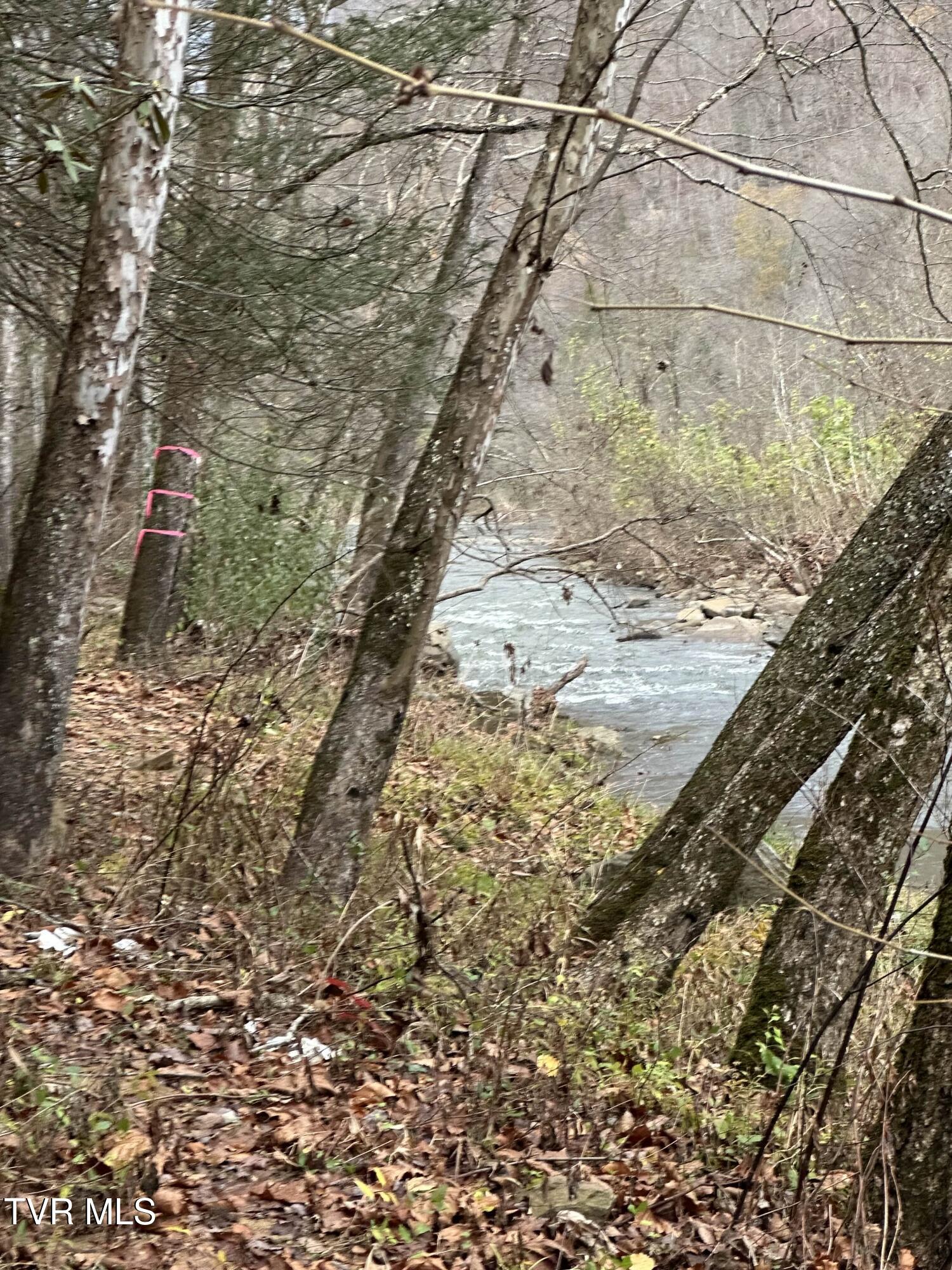 Tbd Retriever Lane Haysi, VA 24256 - Photo 3 of 41 2