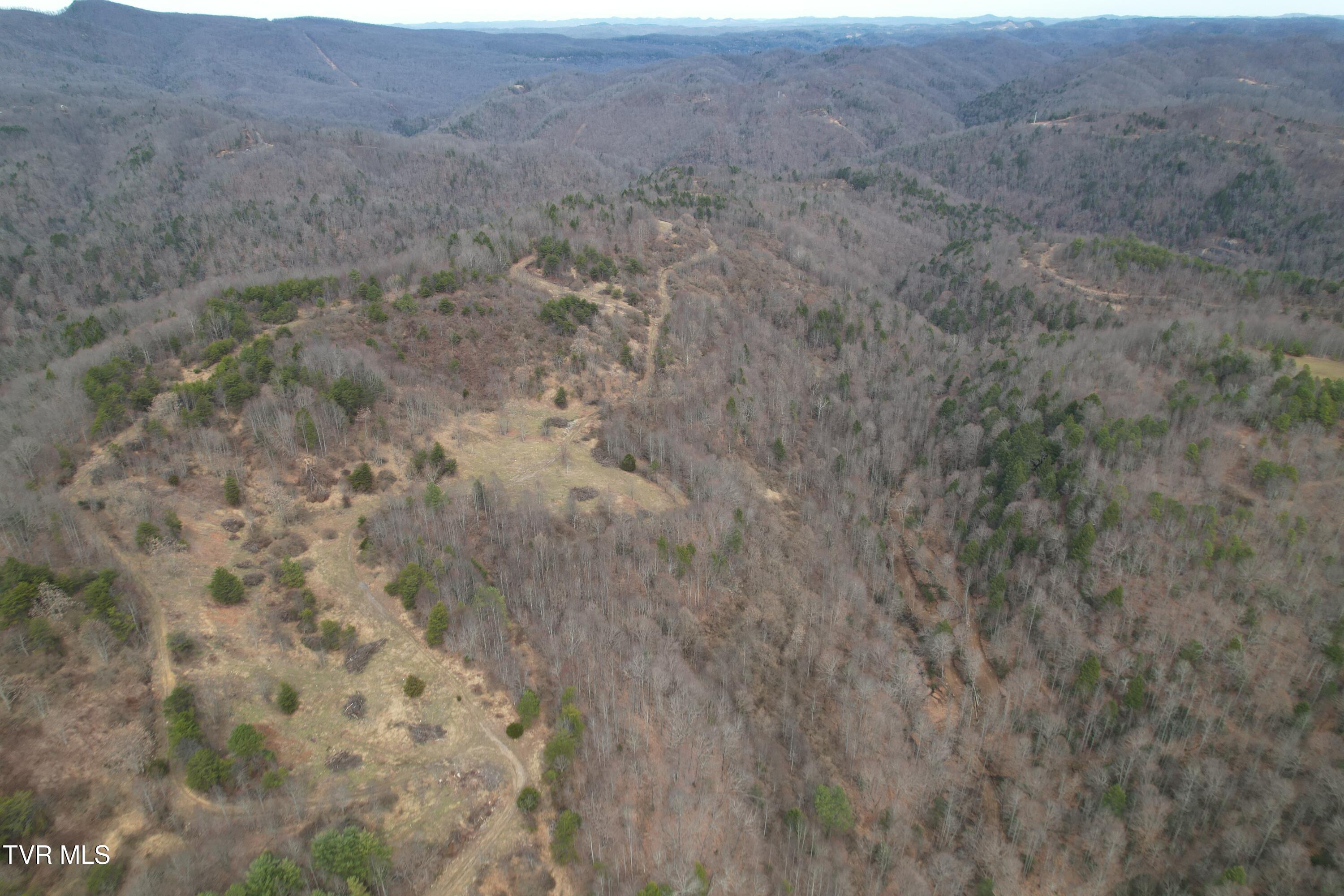 Tbd Retriever Lane Haysi, VA 24256 - Photo 32 of 41 DJI_0150